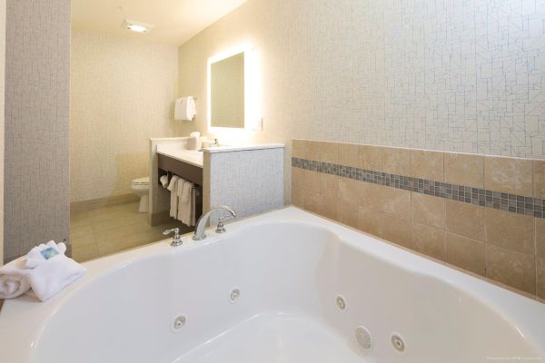 Holiday Inn Express & Suites LA PORTE (La Porte)